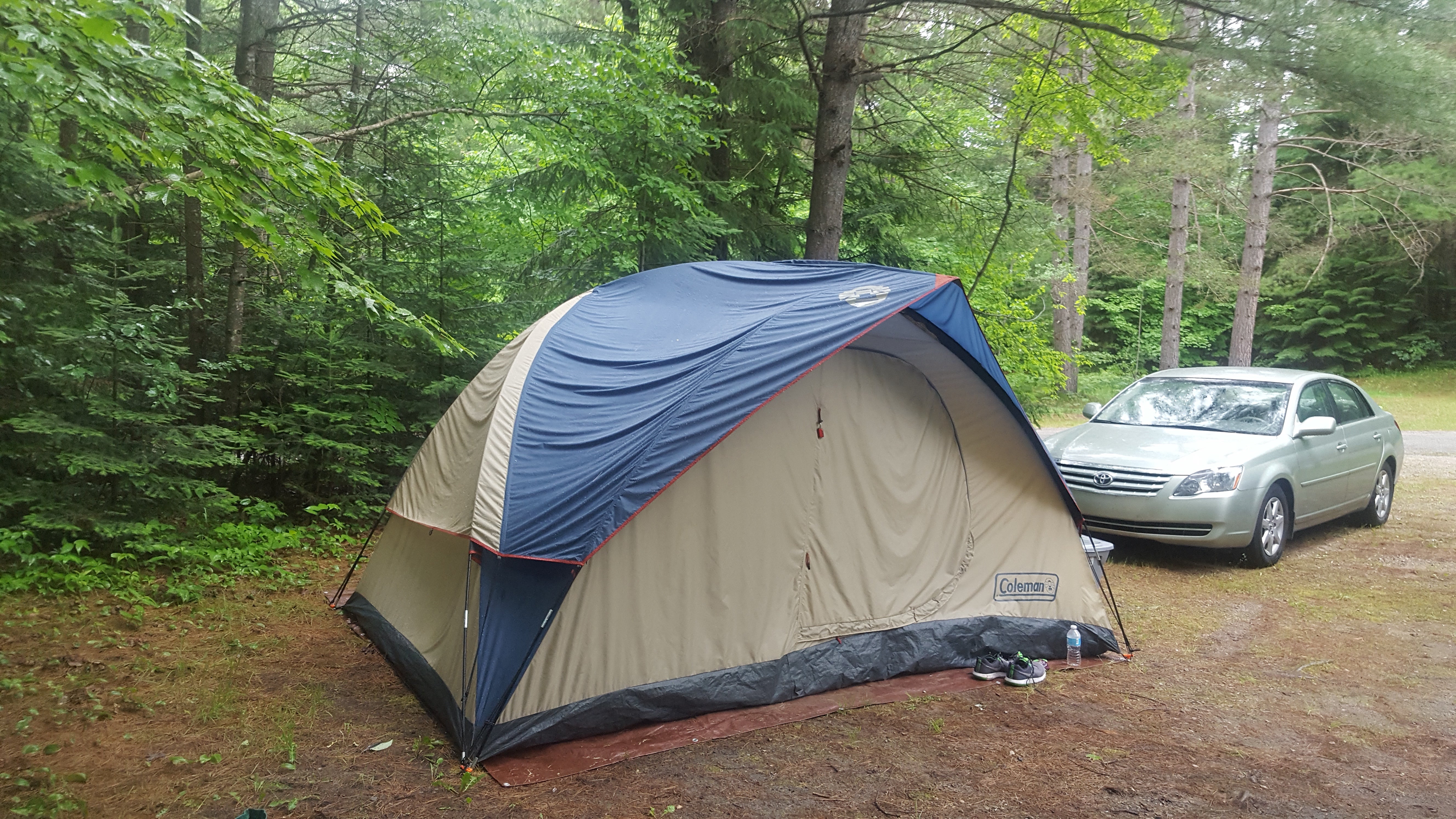 Camper submitted image from Widewaters Campground - 4