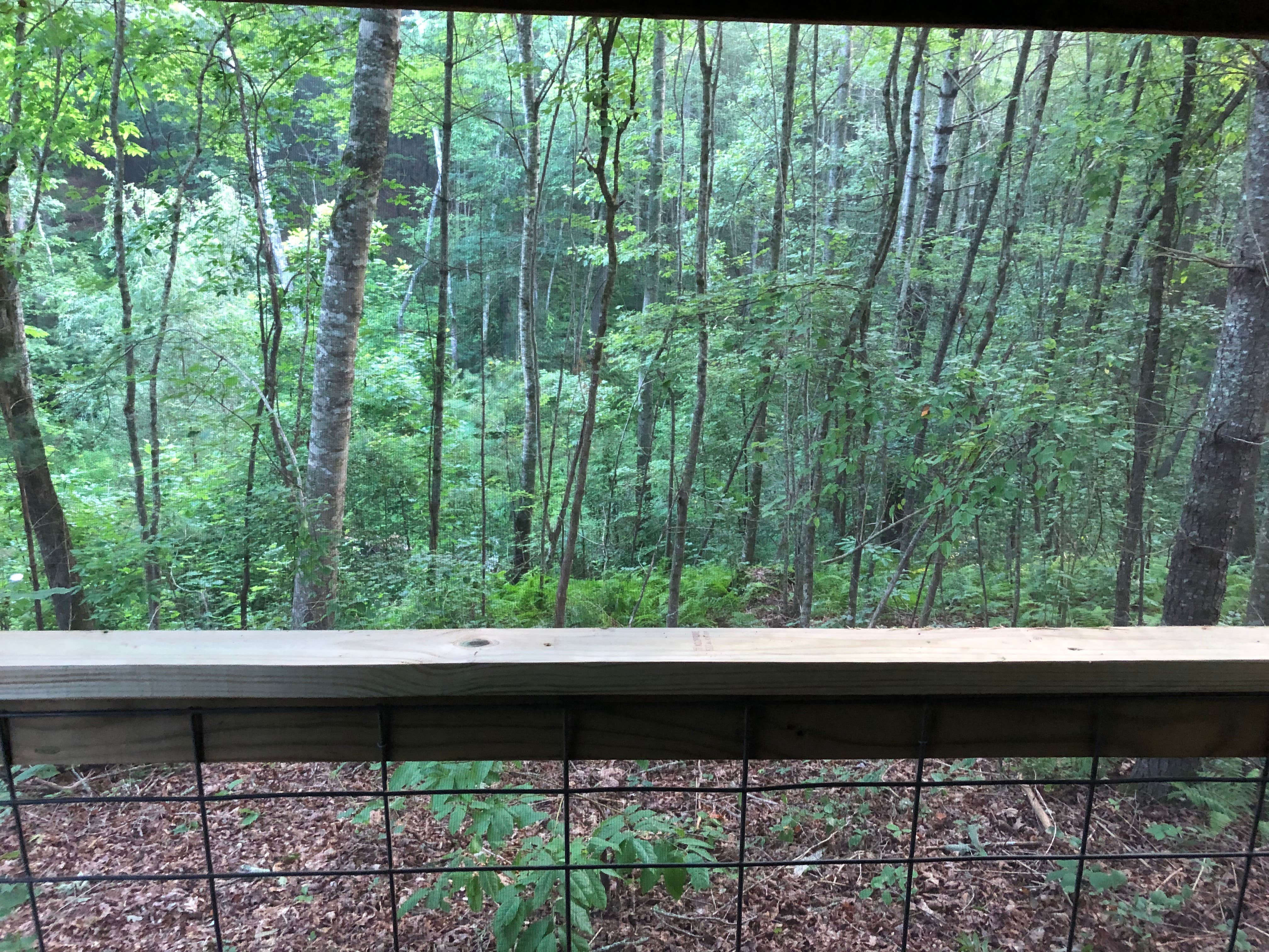 Camper-submitted photo at Unique shelter in the NC foothills near Murphy, NC