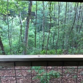 Review photo of Unique shelter in the NC foothills by Erin S., June 29, 2019