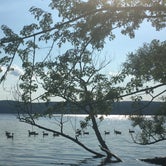 Review photo of Glimmerglass State Park Campground by Leah B., September 5, 2016