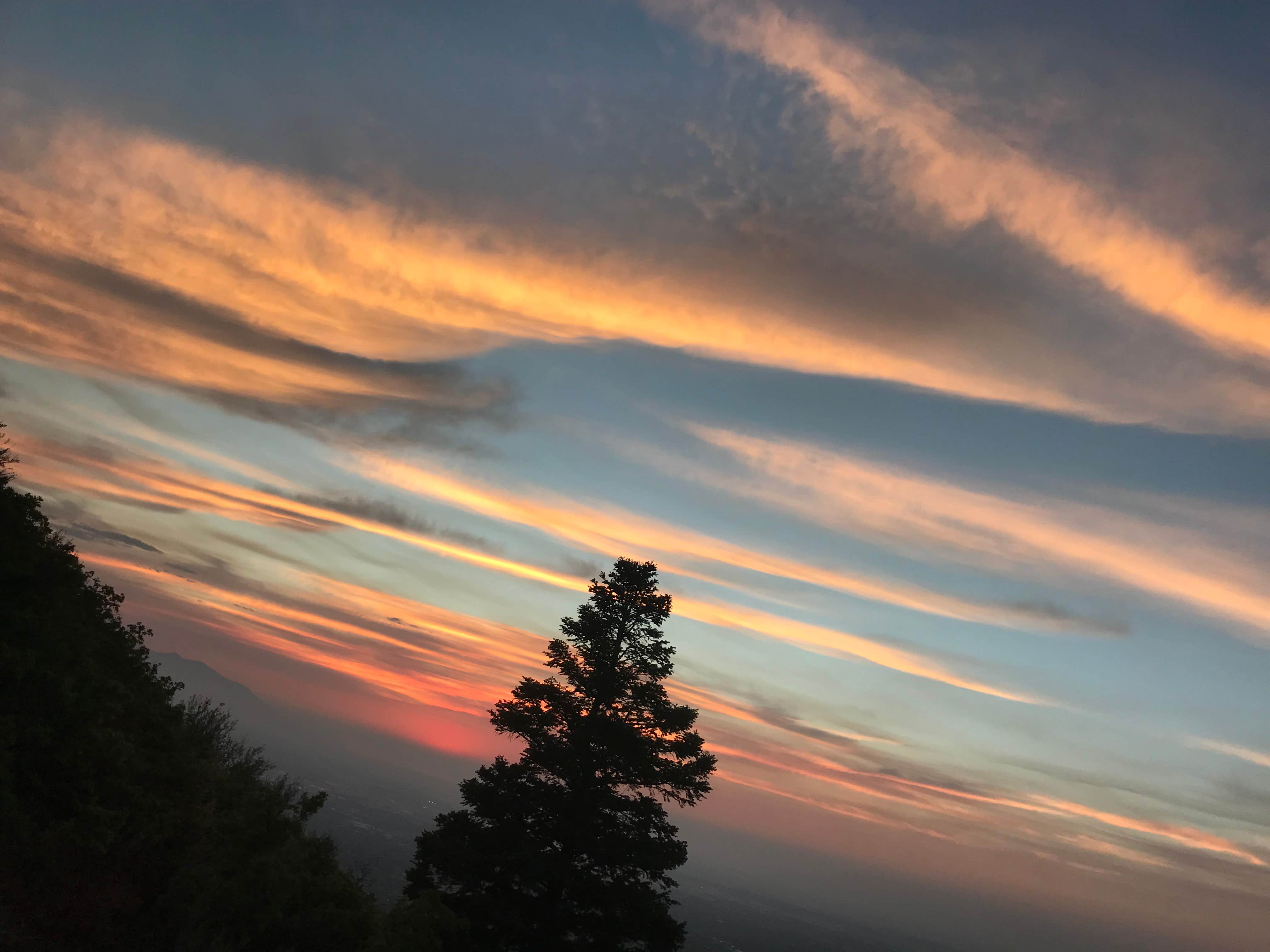 Camper-submitted photo at Neffs Canyon Dispersed Site near Murray, UT
