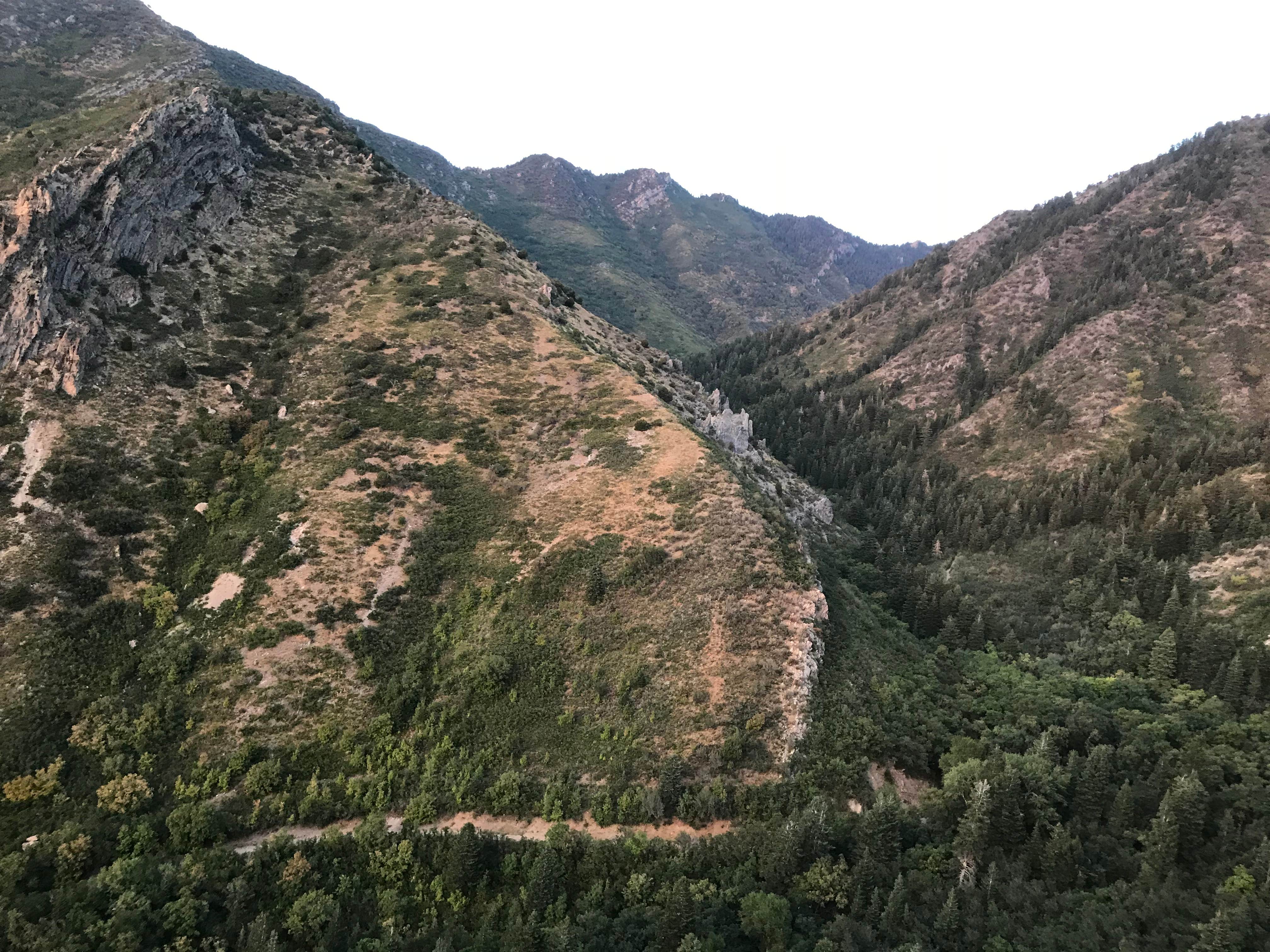 Camper-submitted photo at Neffs Canyon Dispersed Site near Murray, UT