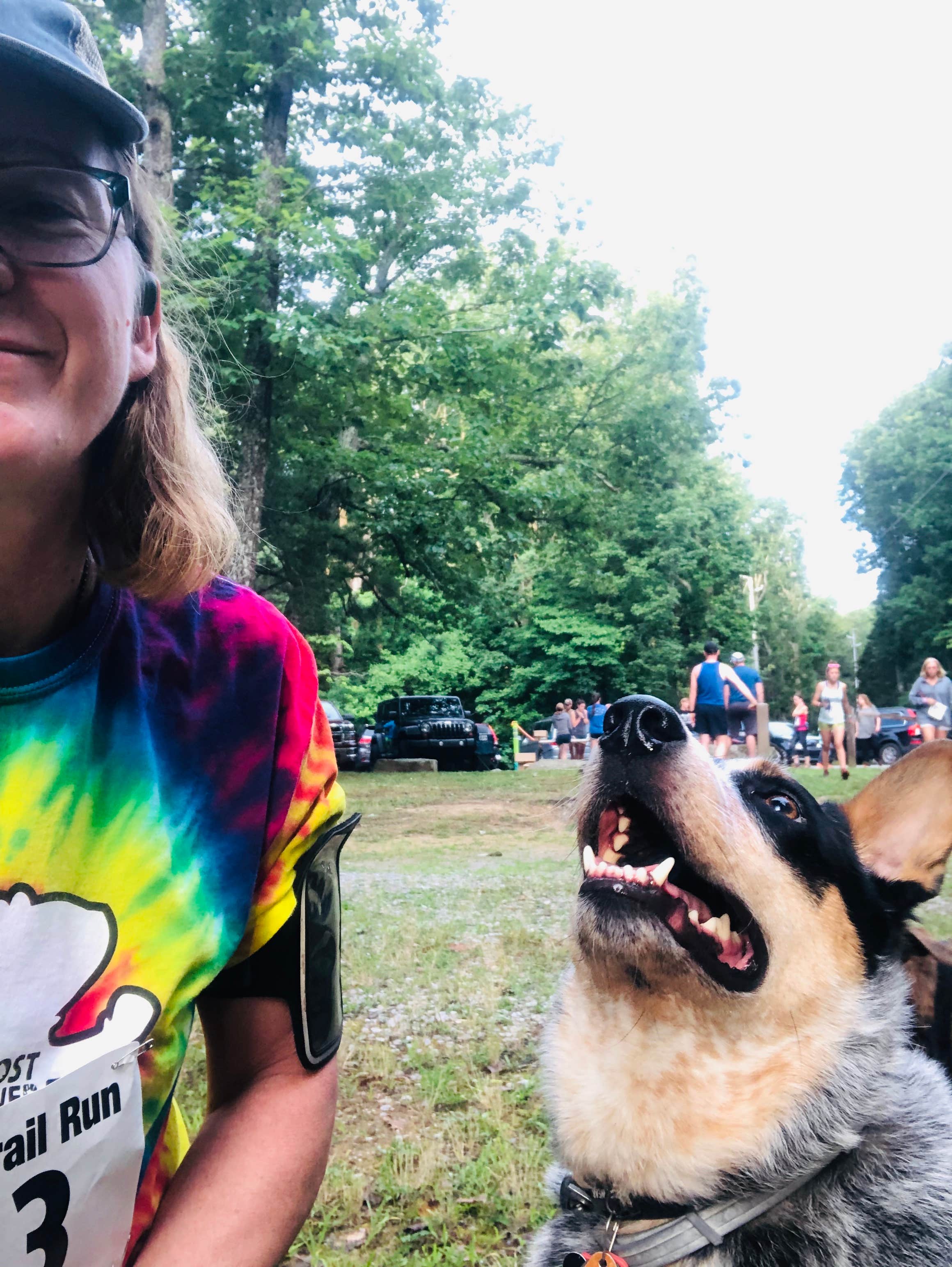 Shelly S.'s photo of camping with pets at Monte Sano State Park Campground near Rogersville, AL