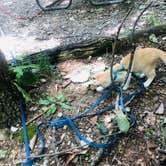 Review photo of Monte Sano State Park Campground by Shelly S., June 29, 2019
