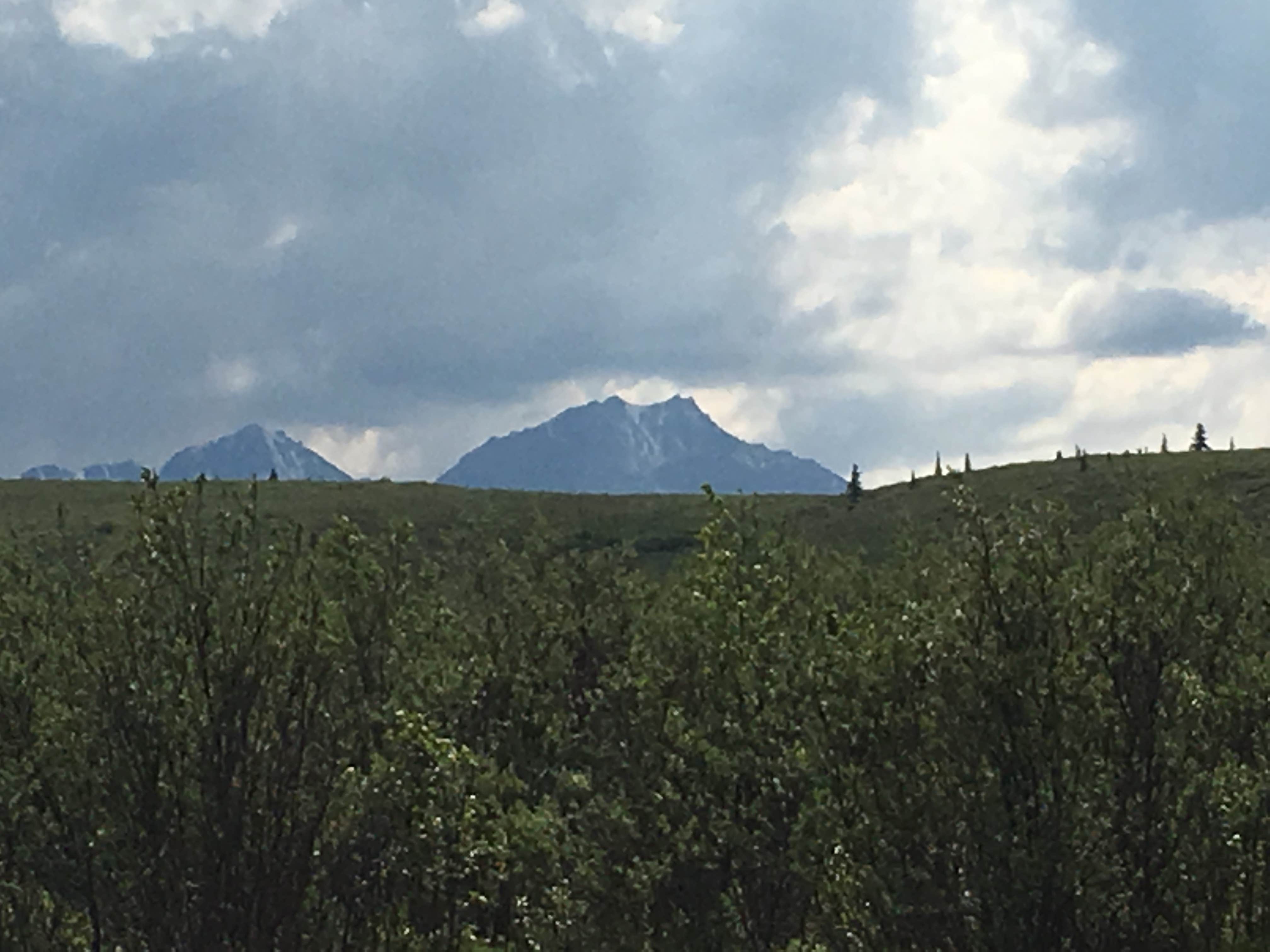 Camper submitted image from Savage River Campground — Denali National Park - 2