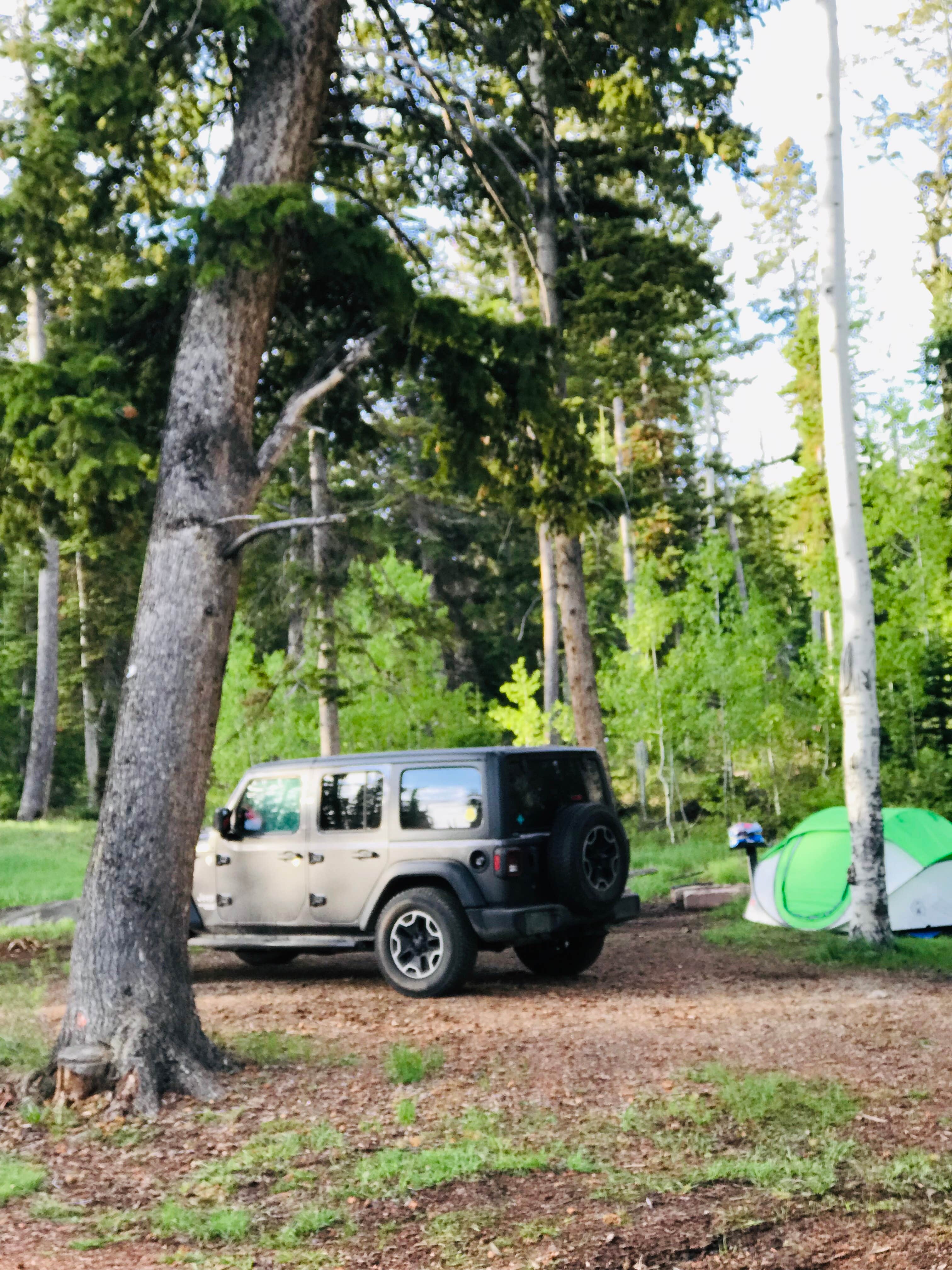Marlin B.'s photo at Avintaquin Campground near Kenilworth, UT