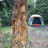 Review photo of Savage River Campground — Denali National Park by Abby M., September 5, 2016