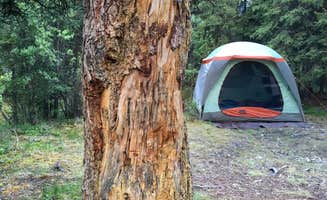 Abby M.'s photo at Savage River Campground — Denali National Park near Cantwell, AK
