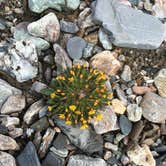 Review photo of Savage River Campground — Denali National Park by Abby M., September 5, 2016
