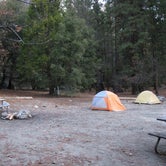 Review photo of Camp 4 — Yosemite National Park by Hayley K., June 29, 2019