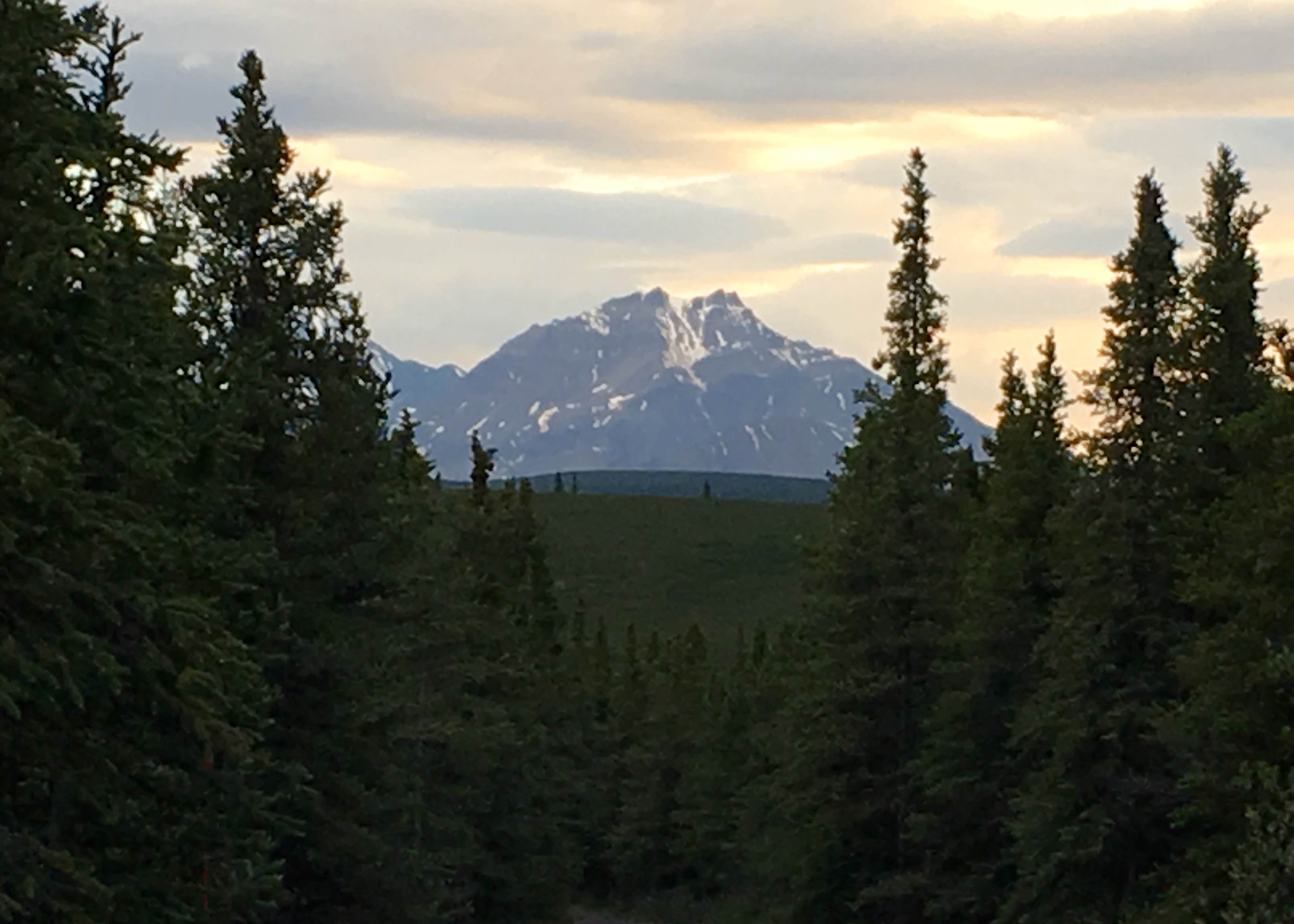 View All