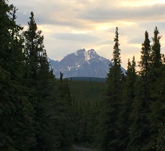 Camper-submitted photo from Savage River Campground — Denali National Park