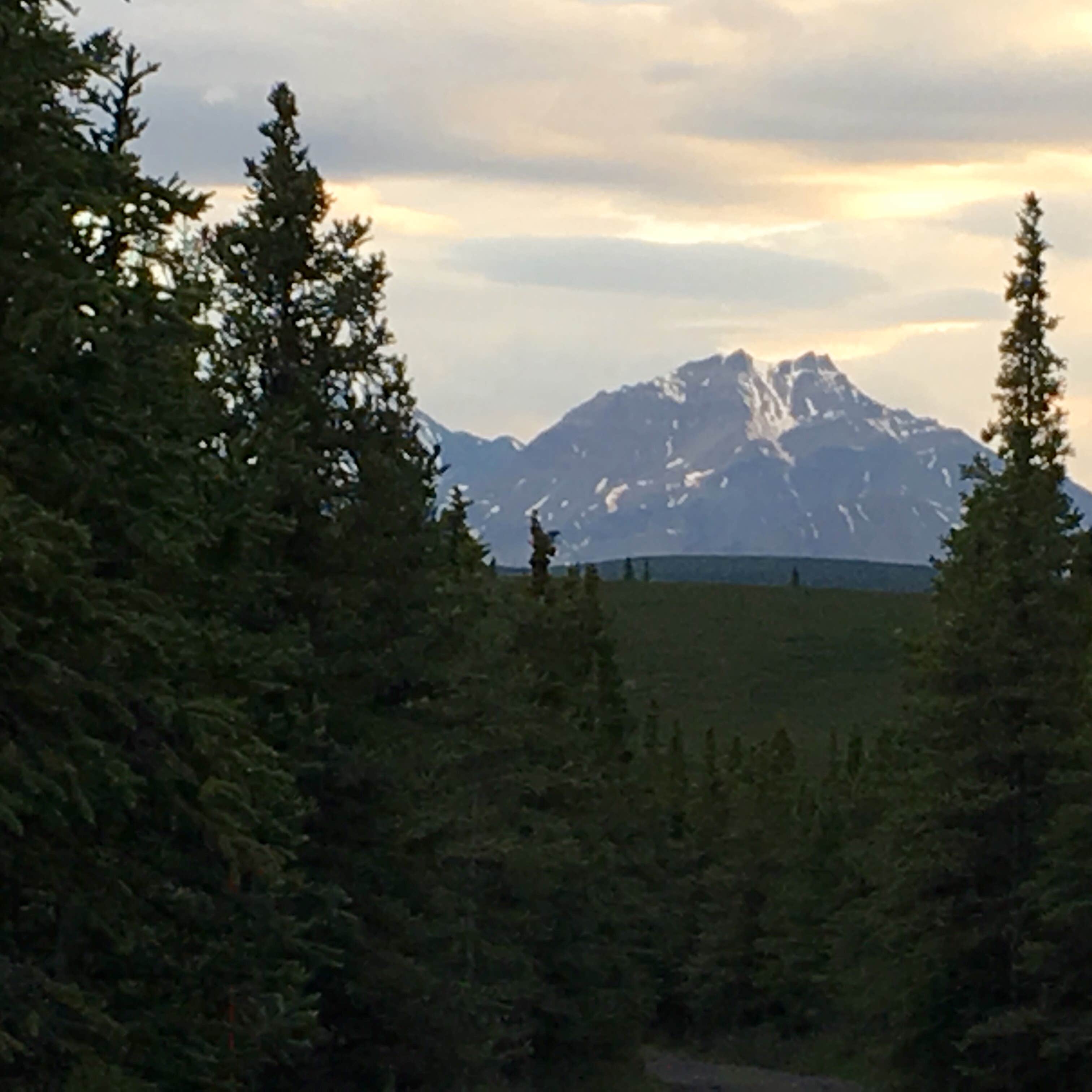 Savage River Campground — Denali National Park