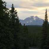 Review photo of Savage River Campground — Denali National Park by Abby M., September 5, 2016
