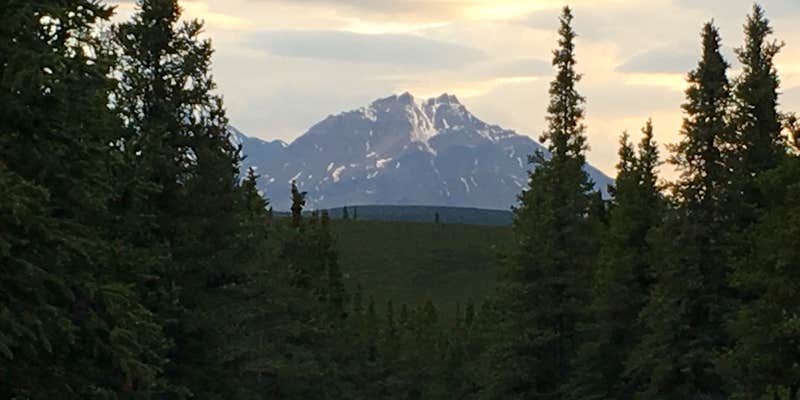 Camper submitted image from Savage River Campground — Denali National Park