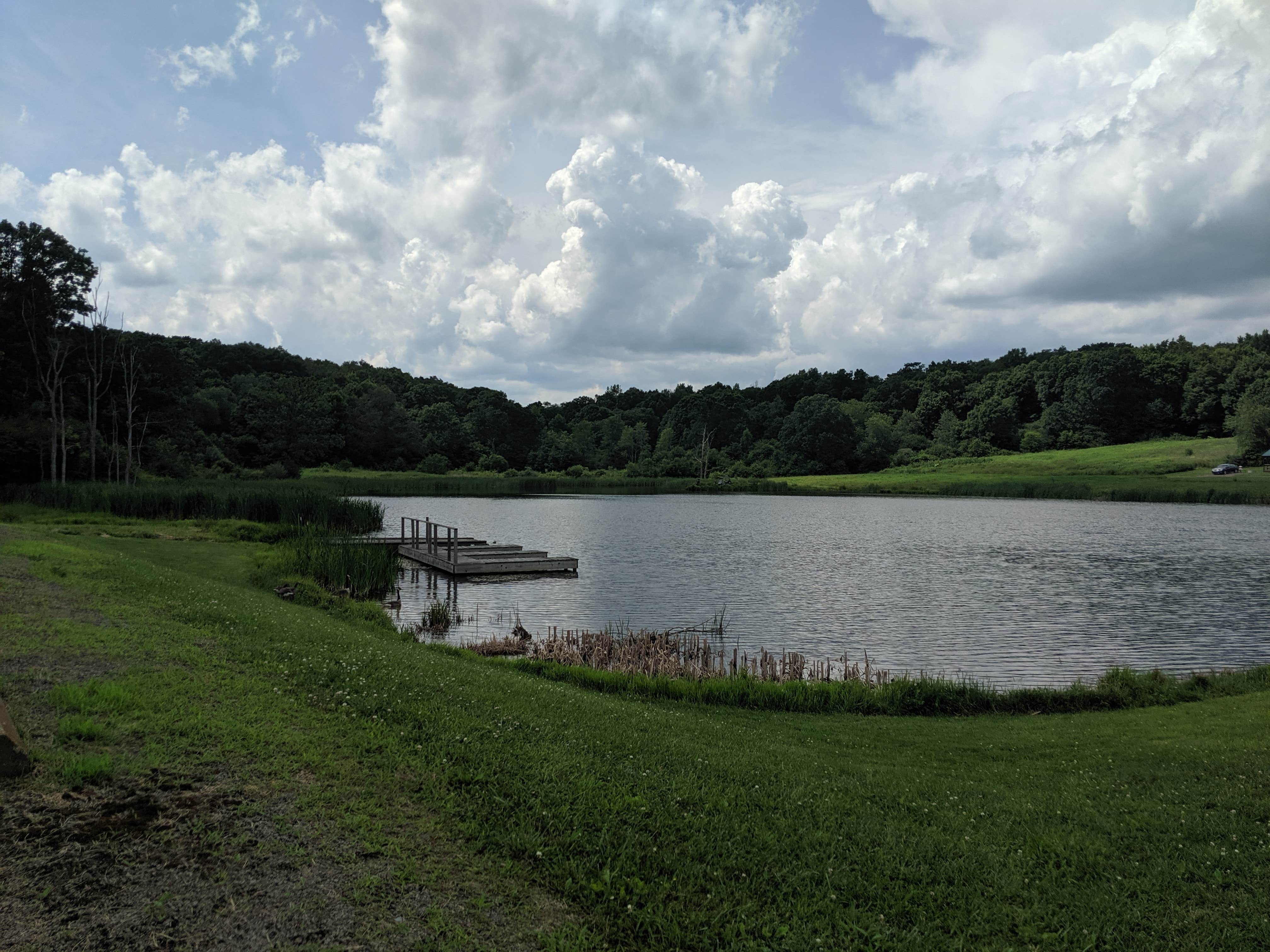 Camper submitted image from Hickory Hollow Campground - 2