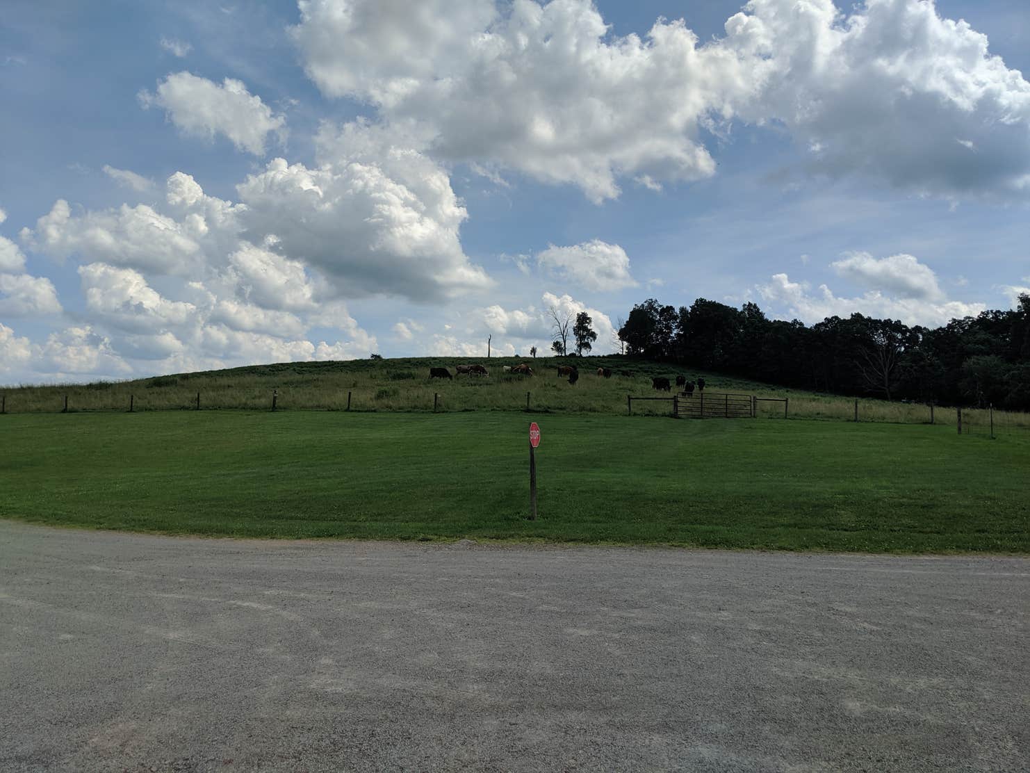 Hickory Hollow Campground The Dyrt