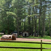 Review photo of Sinnemahoning State Park Campground by Paula L., June 29, 2019