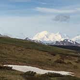 Review photo of Savage River Campground — Denali National Park by Abby M., September 5, 2016