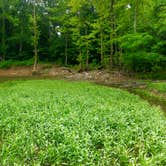 Review photo of Yellowwood State Forest by Steven G., June 29, 2019