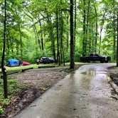 Review photo of Yellowwood State Forest by Steven G., June 29, 2019