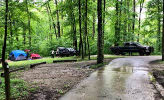 Steven G.'s photo at Yellowwood State Forest near Paragon, IN