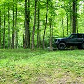 Review photo of Yellowwood State Forest by Steven G., June 29, 2019