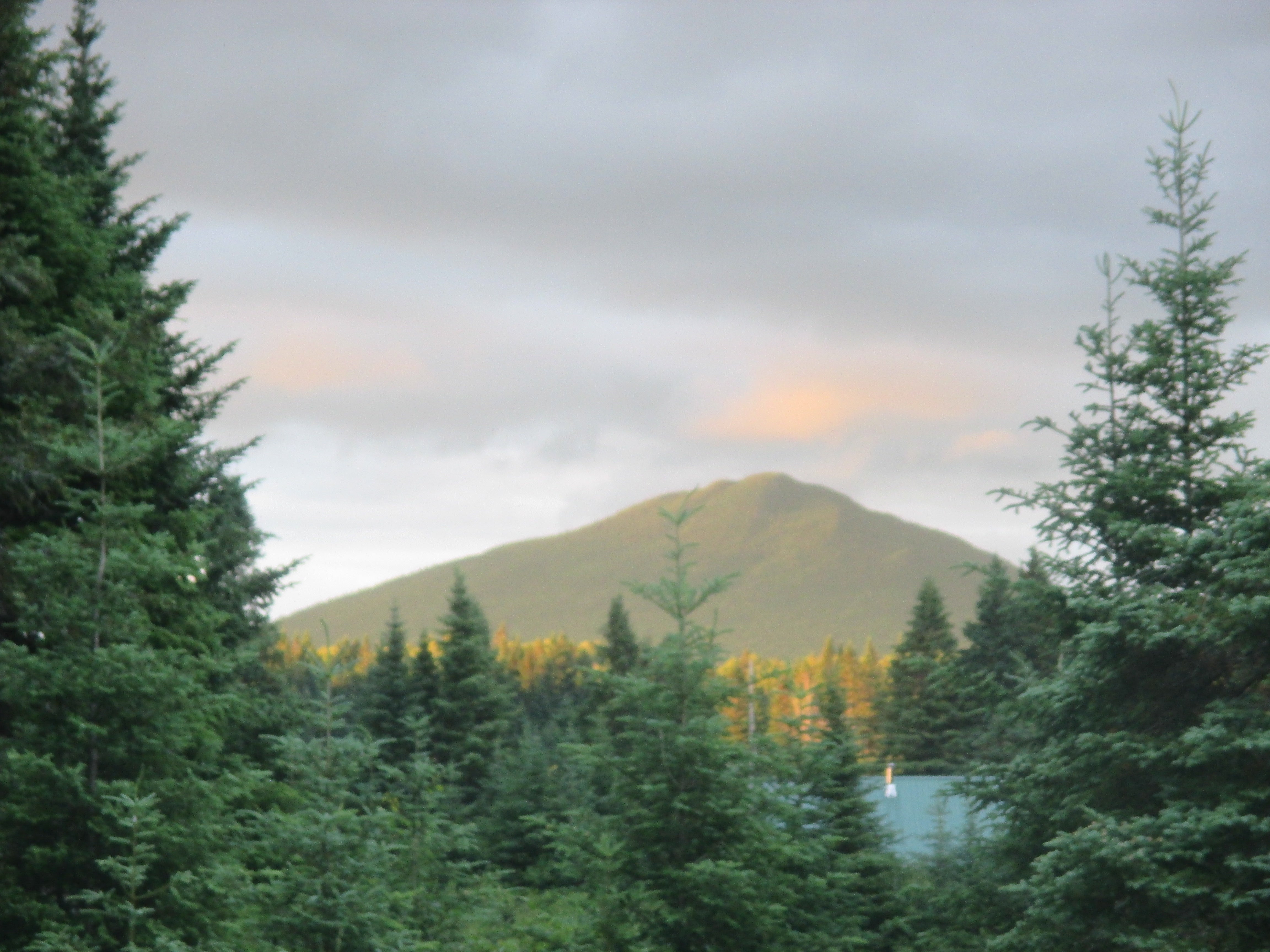 Camper submitted image from Nesowadnehunk Field Campground — Baxter State Park - 1