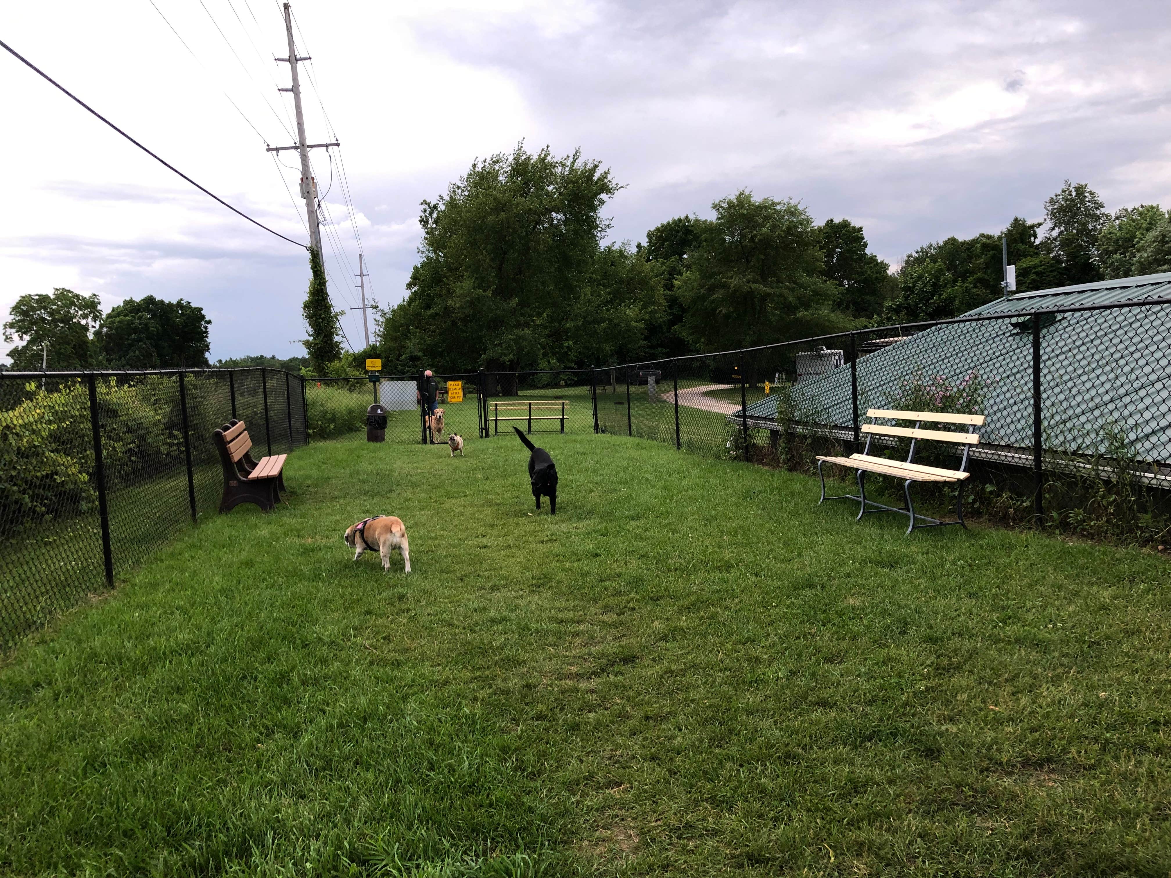 Kelly F.'s photo of camping with pets at Elkhart RV Resort by Rjourney near South Bend, IN