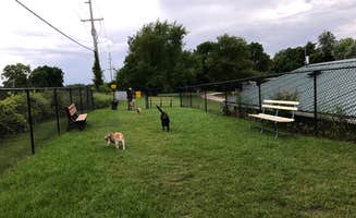 Kelly F.'s photo of camping with pets at Elkhart RV Resort by Rjourney near Sturgis, MI