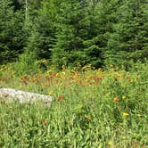 Review photo of Nesowadnehunk Field Campground — Baxter State Park by Leah B., September 5, 2016
