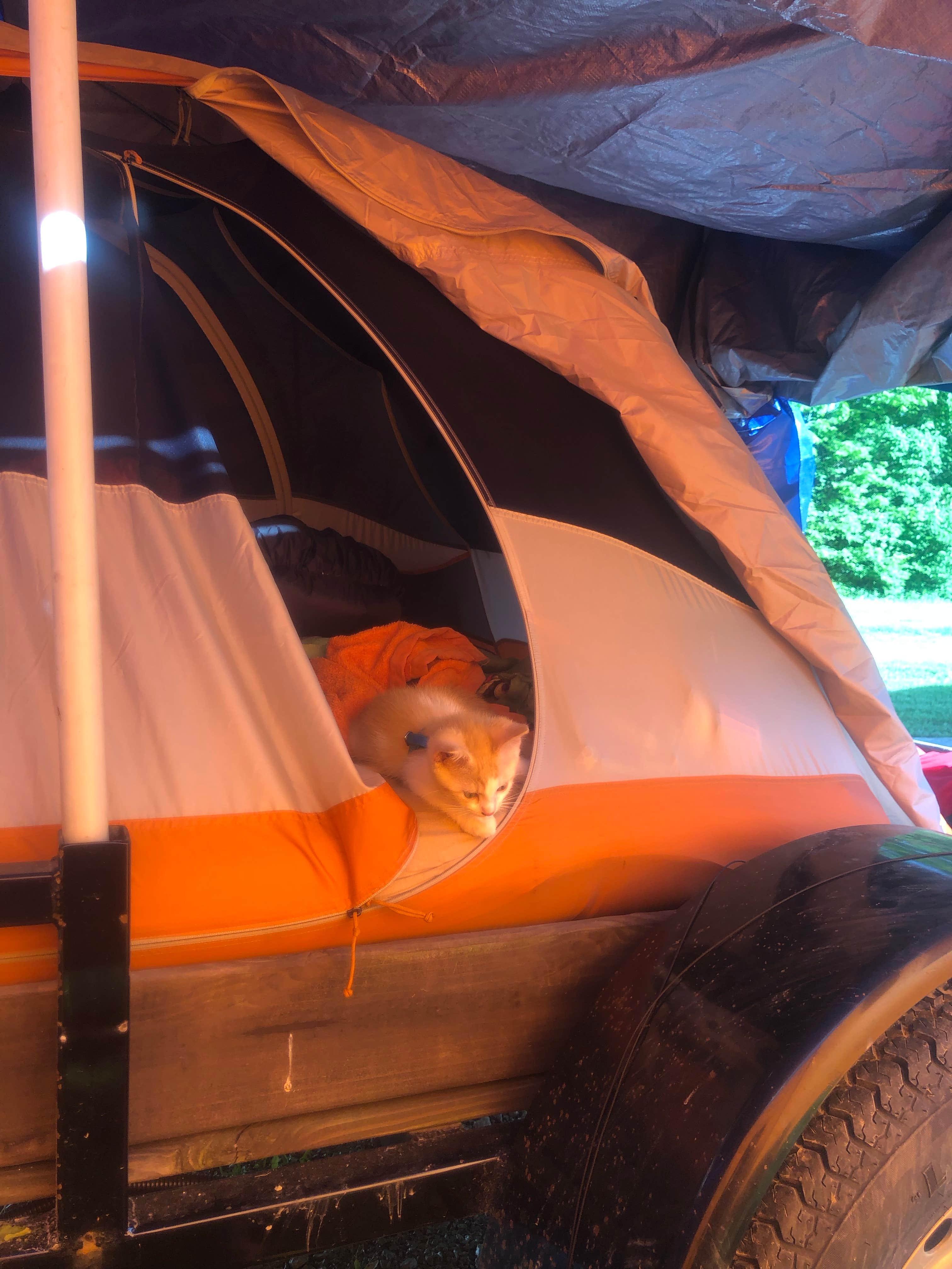 Camper submitted image from Indianapolis KOA - 3