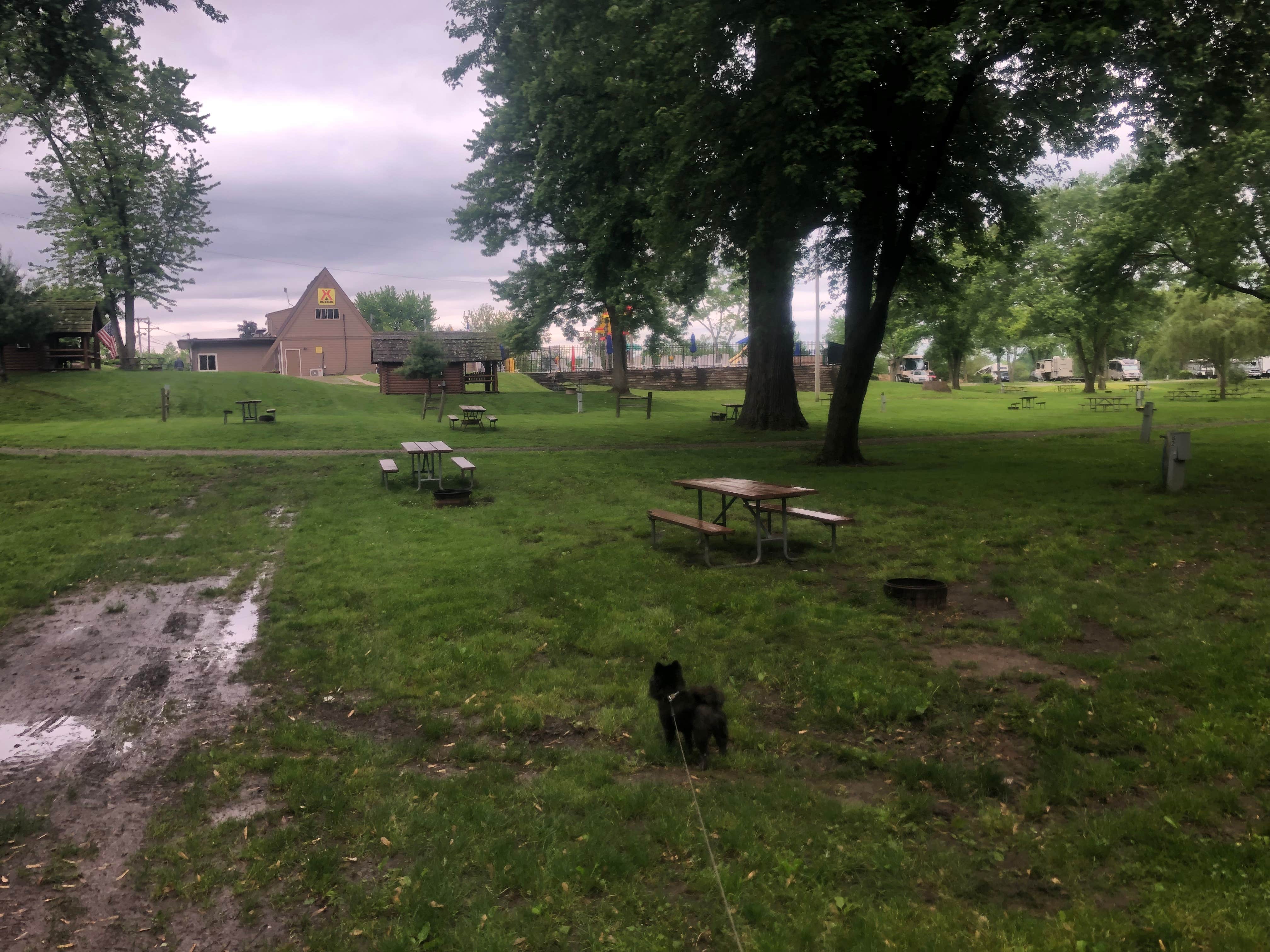Shelly S.'s photo of camping with pets at Indianapolis KOA near Cicero, IN