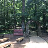 Review photo of Amicalola Falls State Park Camping by Anna R., June 29, 2019