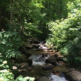 Review photo of Amicalola Falls State Park Camping by Anna R., June 29, 2019