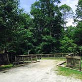 Review photo of Amicalola Falls State Park Camping by Anna R., June 29, 2019