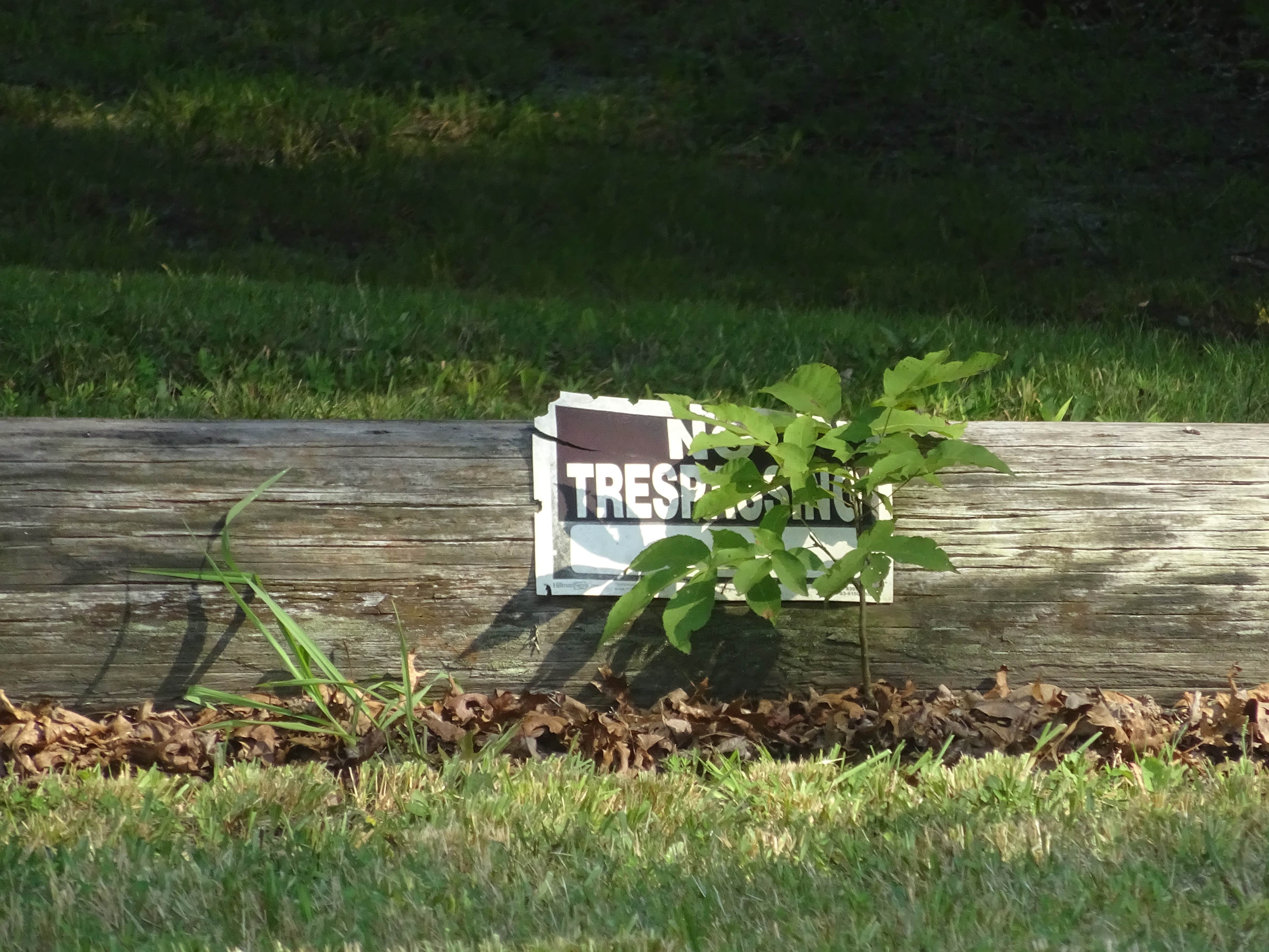 This log and No Trespassing sign block the entrance way.