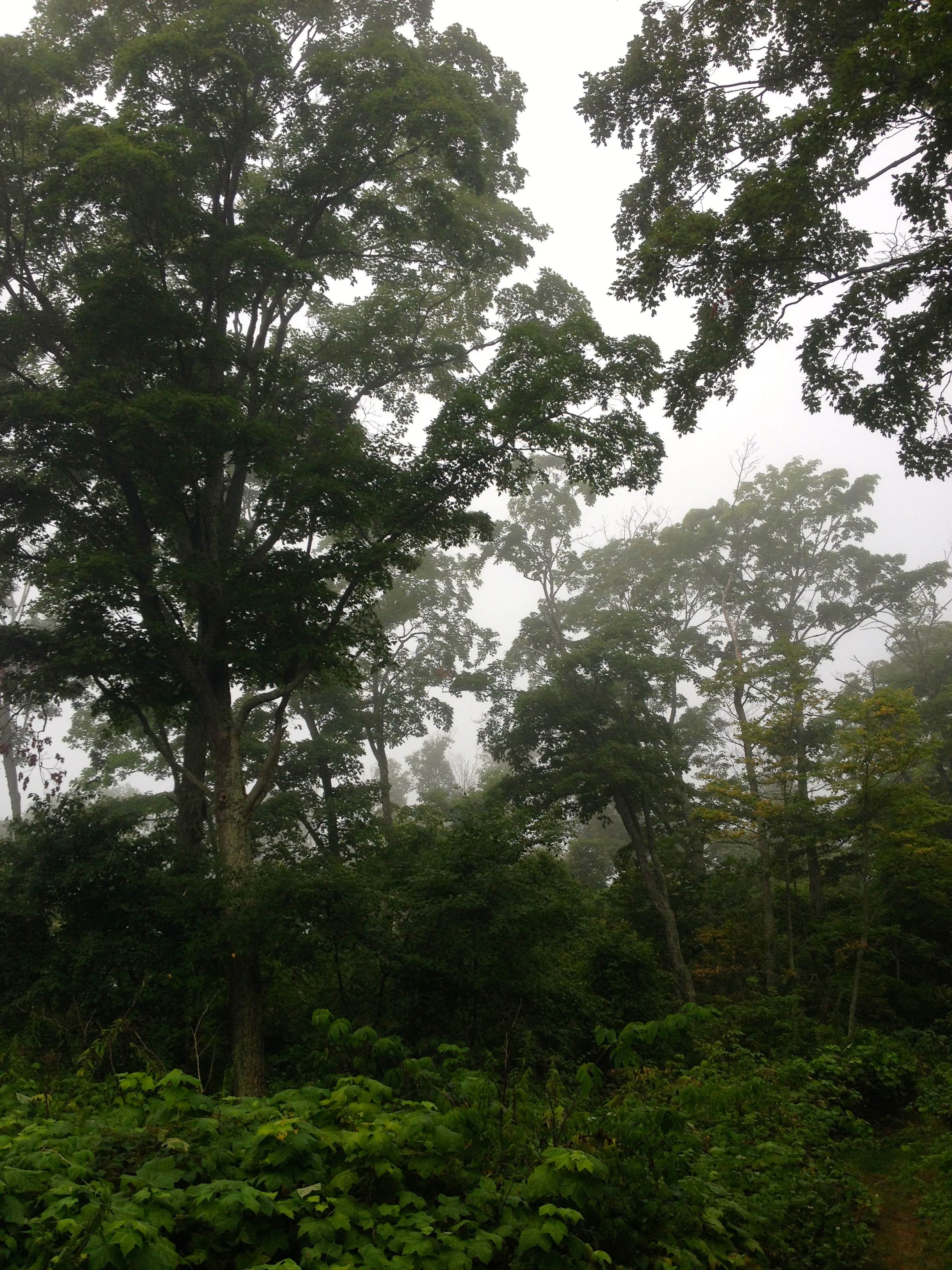 Camper submitted image from Newport State Park Campground - 2