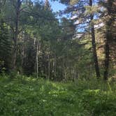 Review photo of Holy Ghost Campground by Angelica B., June 30, 2019