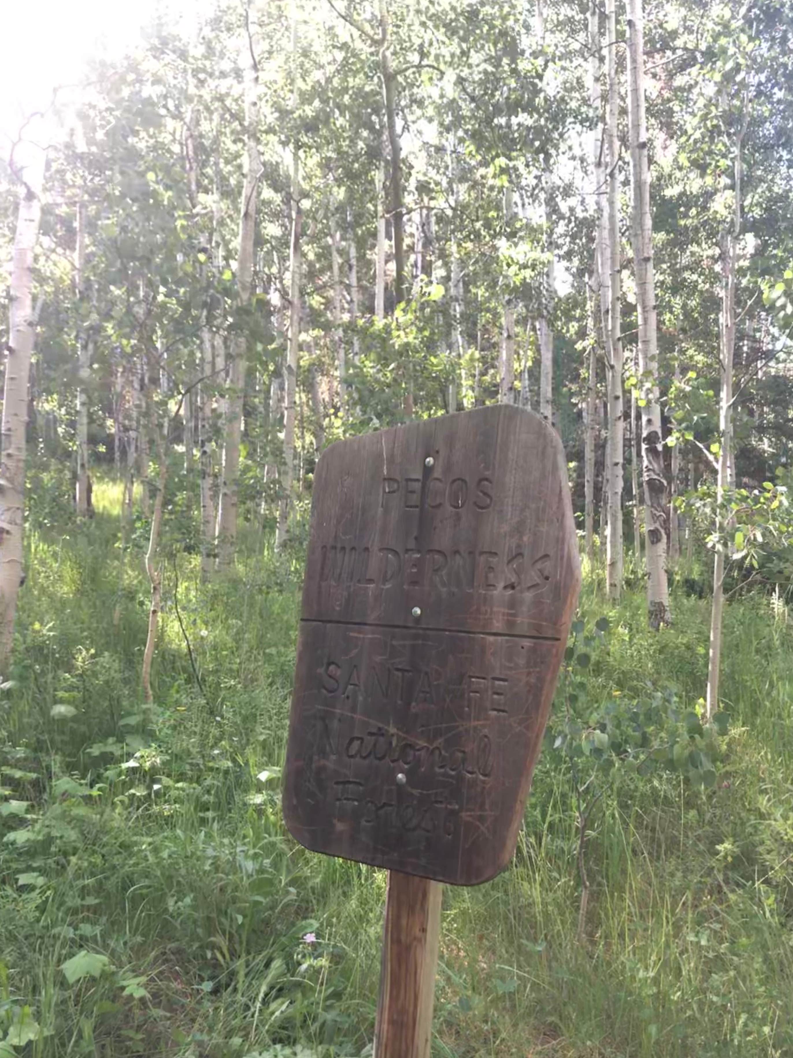 Camper-submitted photo at Holy Ghost Campground near Las Vegas, NM