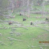 Review photo of Signal Mountain Campground — Grand Teton National Park by Paul A., April 8, 2016