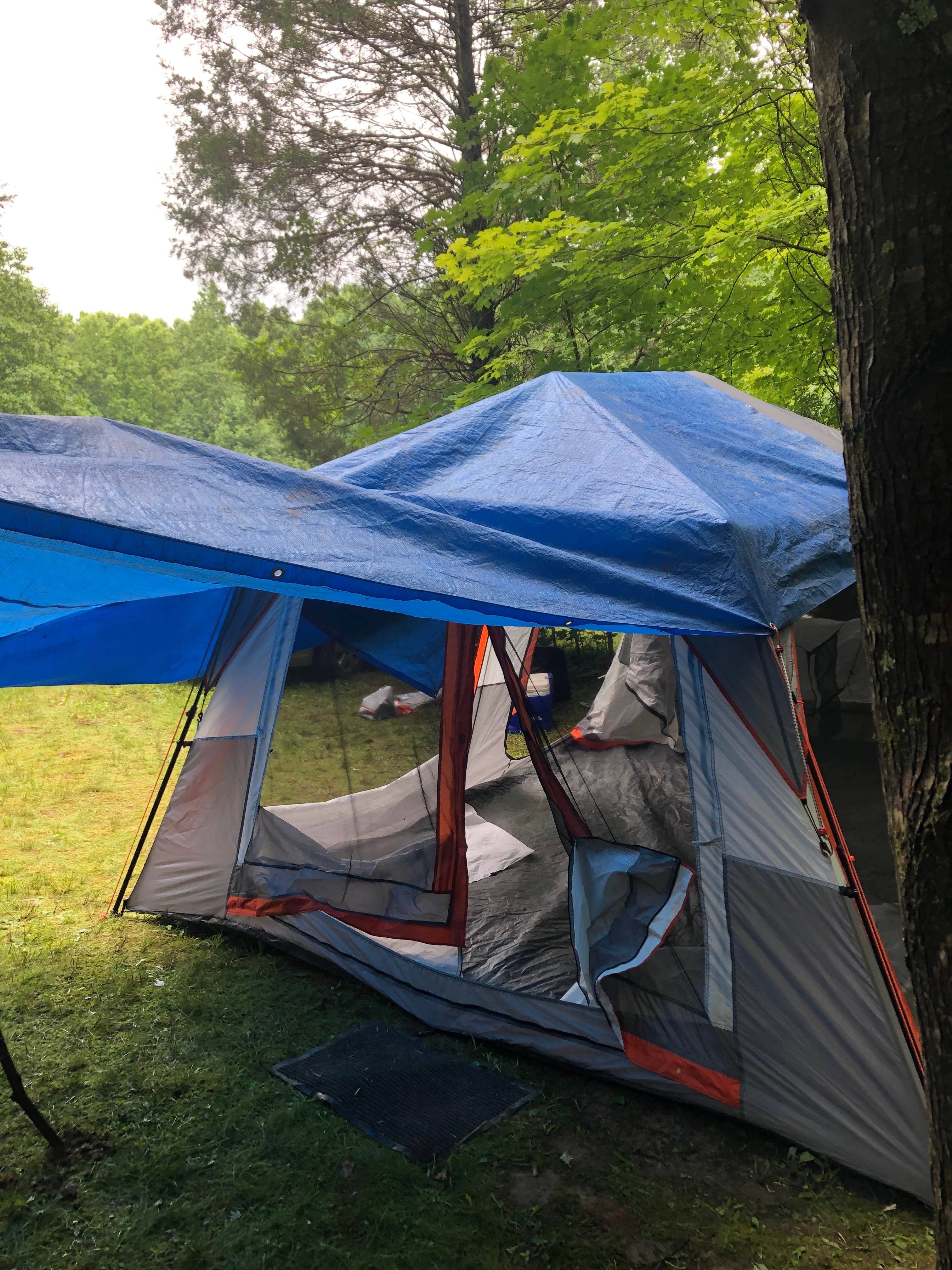 Camper submitted image from Happy Hollow Homestead - 2