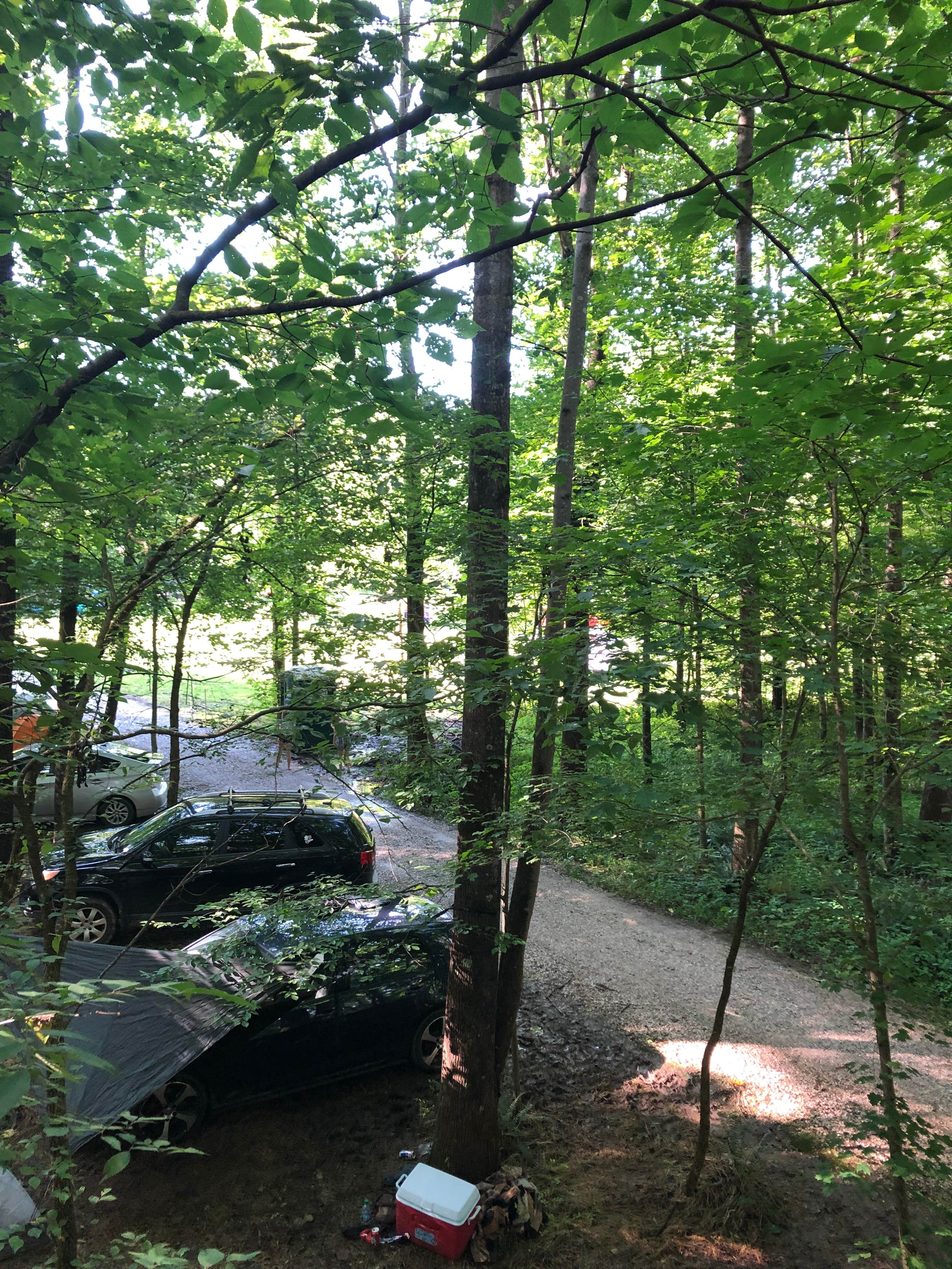 Camper submitted image from Happy Hollow Homestead - 4