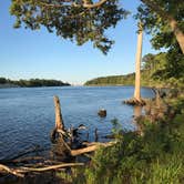 Review photo of Carolina Beach State Park Campground by Andrea B., June 30, 2019