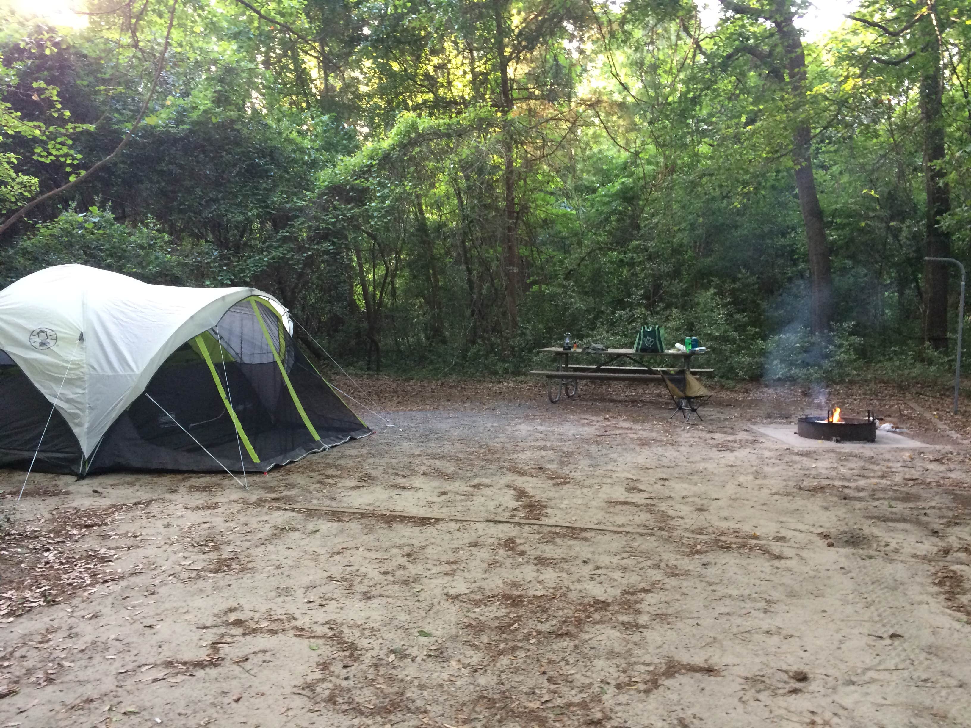 Andrea B.'s photo at Carolina Beach State Park Campground near Oak Island, NC