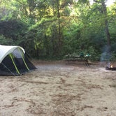 Review photo of Carolina Beach State Park Campground by Andrea B., June 30, 2019