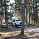 Review photo of Headwaters Campground at Flagg Ranch — John D. Rockefeller, Jr., Memorial Parkway by Larry M., June 30, 2019