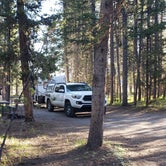 Review photo of Headwaters Campground at Flagg Ranch — John D. Rockefeller, Jr., Memorial Parkway by Larry M., June 30, 2019