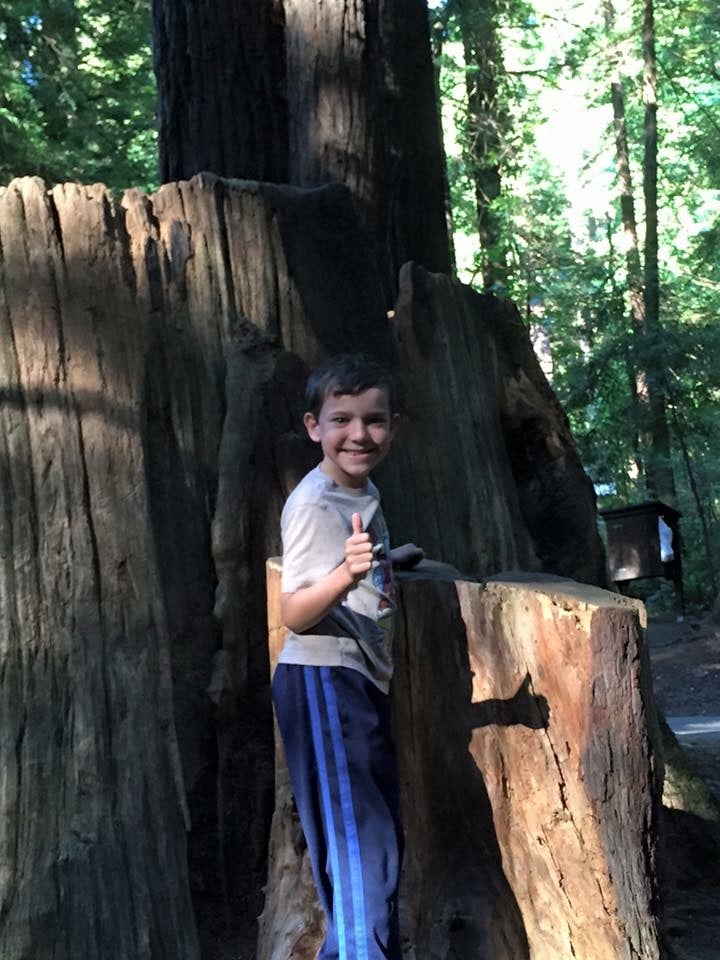 Camper submitted image from Burlington Campground — Humboldt Redwoods State Park - 3