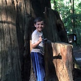Review photo of Burlington Campground — Humboldt Redwoods State Park by Andy H., June 30, 2019